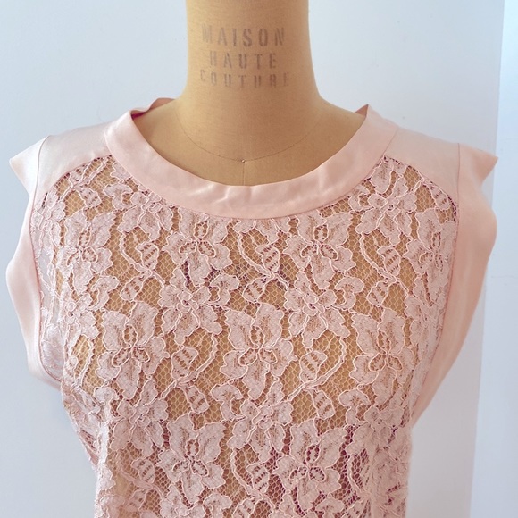 Aritzia Wilfred silk light blush pink lace dress size 6 - Picture 3 of 8